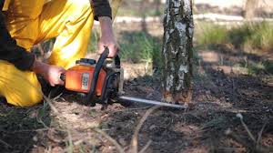 Mulching Services in Pilot Rock, OR