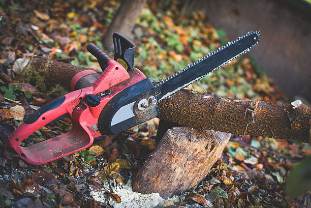 Pilot Rock, OR Tree Care Company